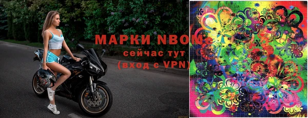 стафф Волоколамск