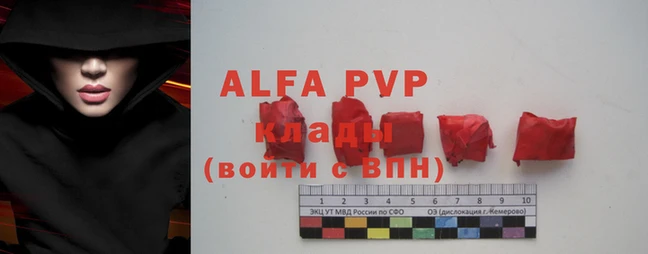 стафф Волоколамск