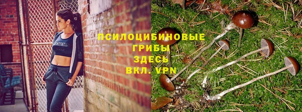 дмт Волосово